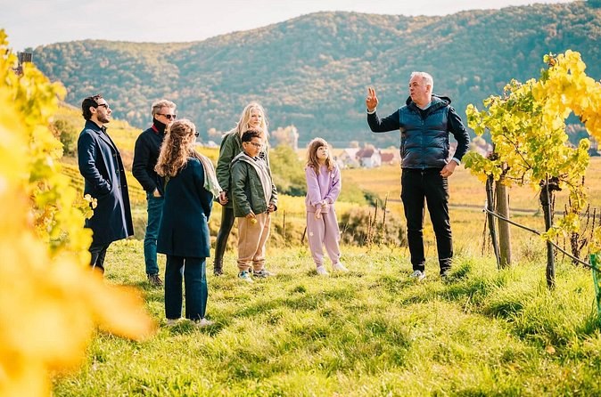 Wachau Valley Private Wine Tour with Tasting and Gourmet Lunch
