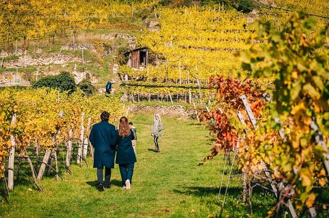 Walkers between terraced vines turned yellow and red in autumn